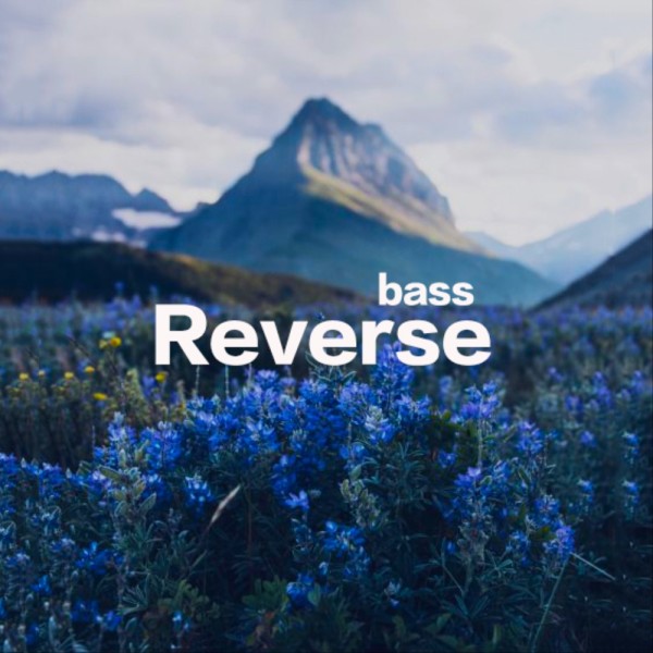 reverse bass:摄影记者脑中的构图视角