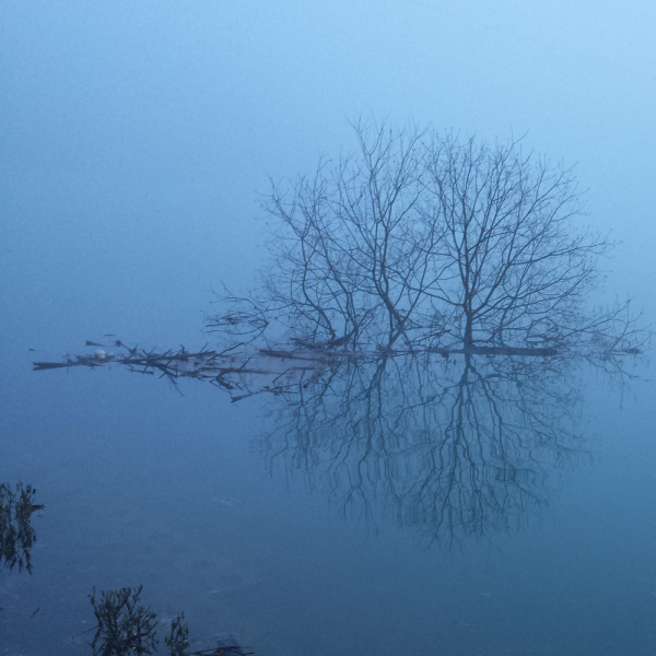 混沌天源道法自然|修心修行
