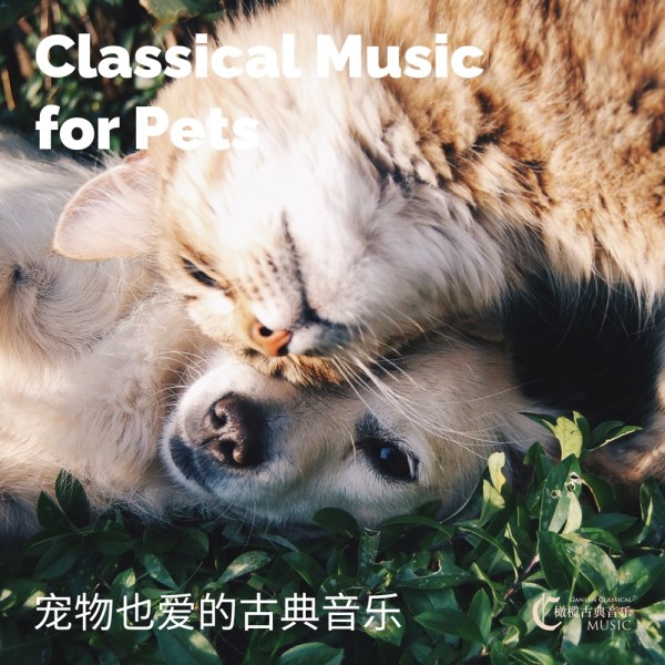 宠物也爱的古典音乐