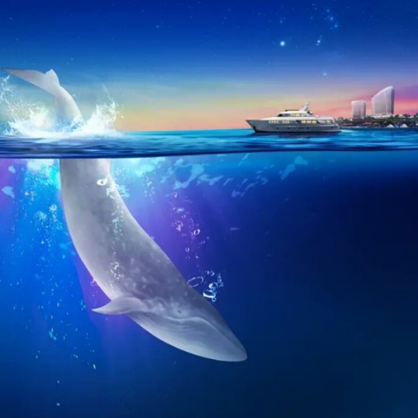 『鲸落』海洋中最温柔的一座孤岛
