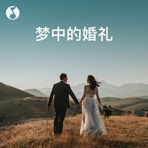 纯音乐| 梦中的婚礼