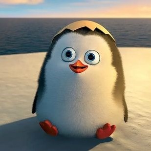 关于企鹅的动画片少儿图片