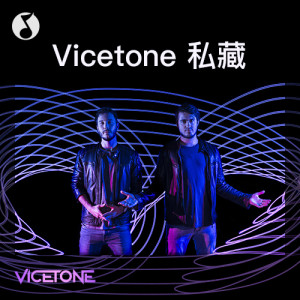 Vicetone私藏