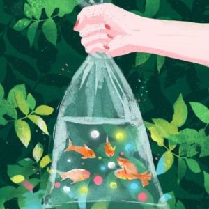 金魚花火 大塚愛 おおつかあい Qq音乐 千万正版音乐海量无损曲库新歌热歌天天畅听的高品质音乐平台