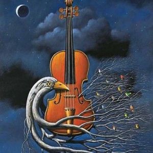 小提琴 | 月夜之下的随想曲